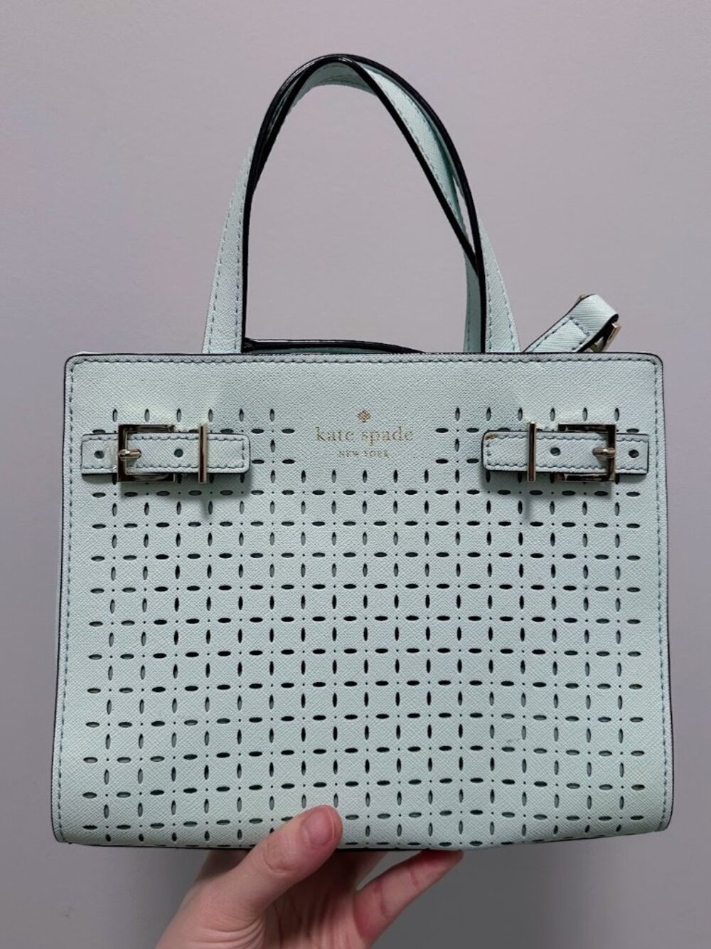 Kate Spade New York Milton Lane Small Lanie Satchel